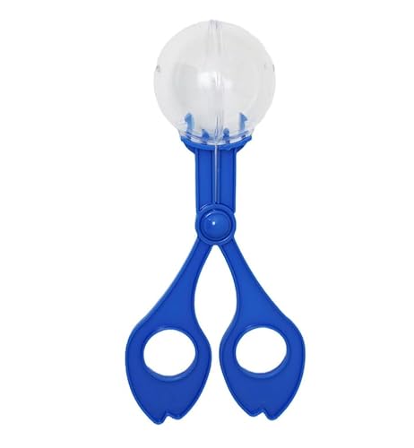 JIzian 1 x blaues Feinmotorikwerkzeug, Schaufel für Teenager, Naturforschung, Beobachtung der Hand-Augen-Koordination, Kunststoff-Scherenklemme, kleiner Schmetterlingsclip, Sport, Outdoor-Spielen JIzian 1 x blaues Feinmotorikwerkzeug, Schaufel für Teenager, Naturforschung, Beobachtung der Hand-Augen-Koordination, Kunststoff-Scherenklemme, kleiner Schmetterlingsclip, Sport, Outdoor-Spielen von JIzian