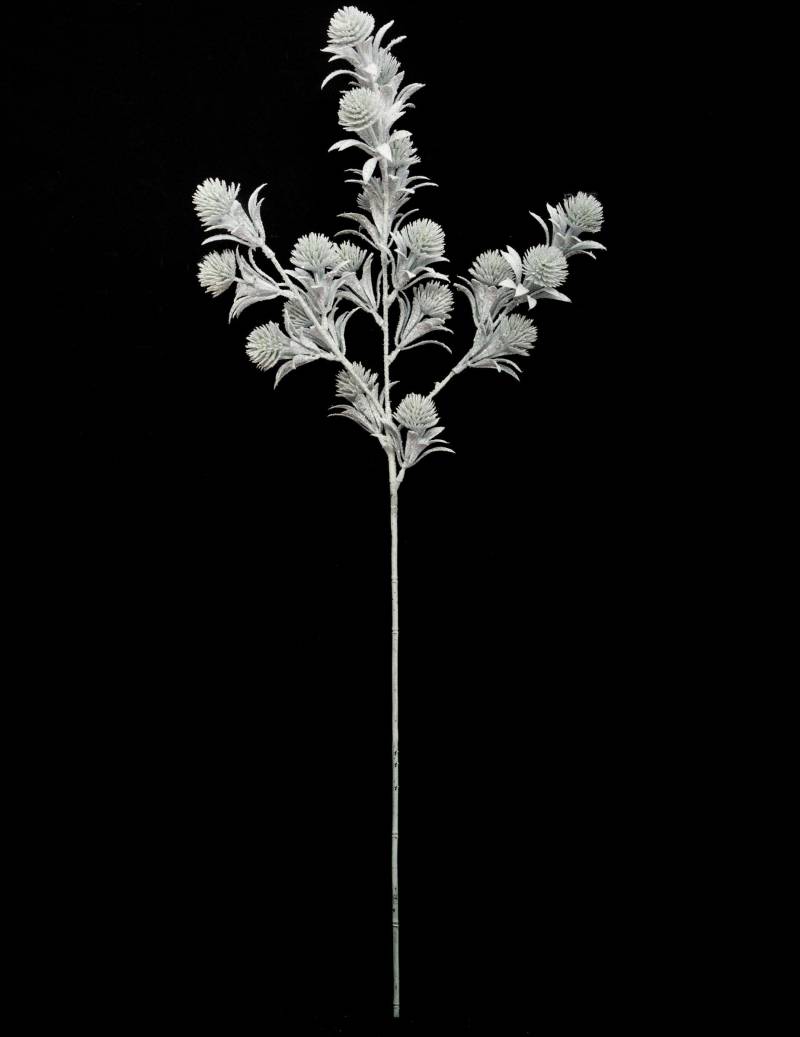 Glitzernder Blütenzweig Kunstpflanzen-Deko grün-weiss 73 cm von JJA