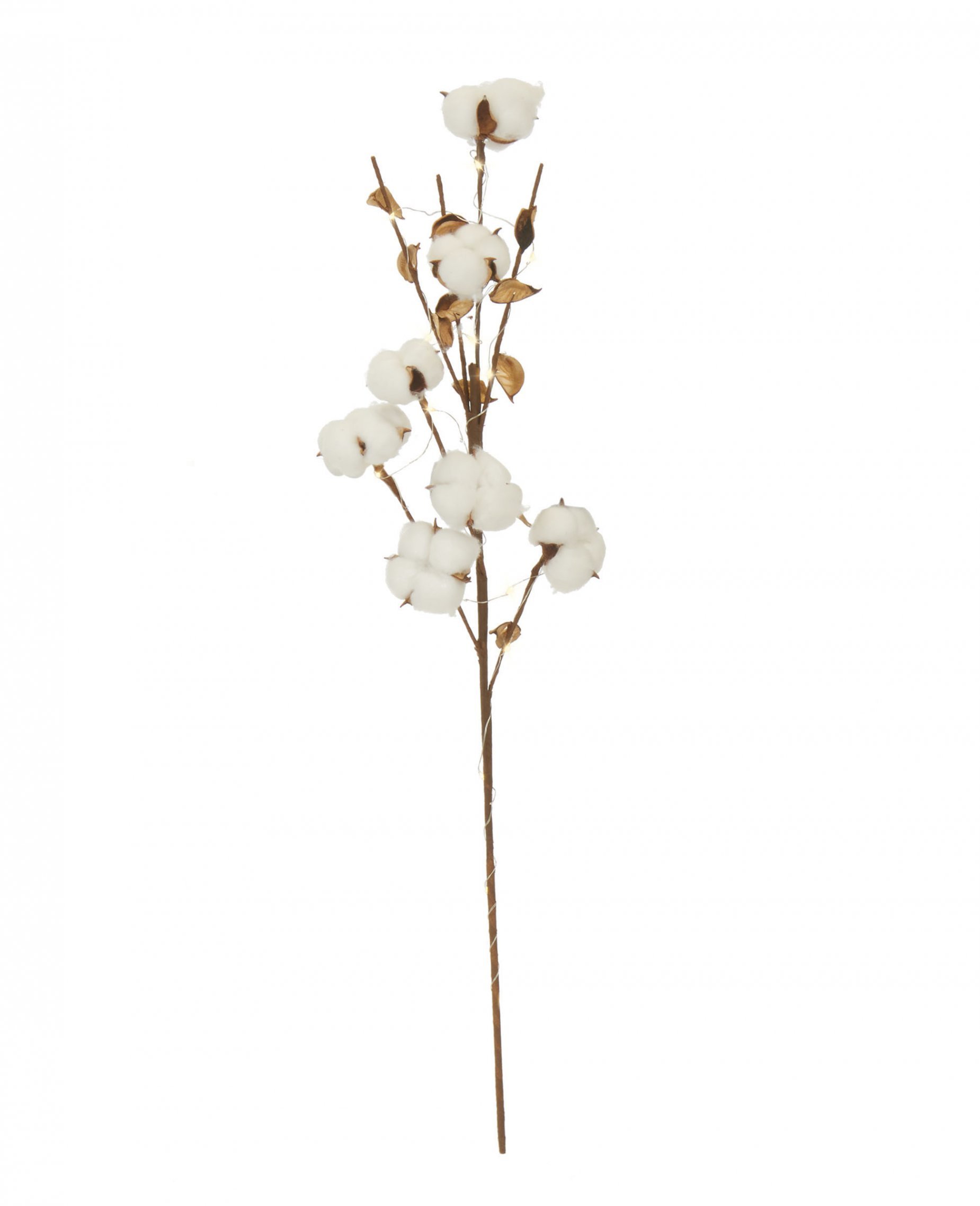 Leuchtender Baumwoll-Zweig Weihnachtsdeko weiß-braun 75 cm von JJA