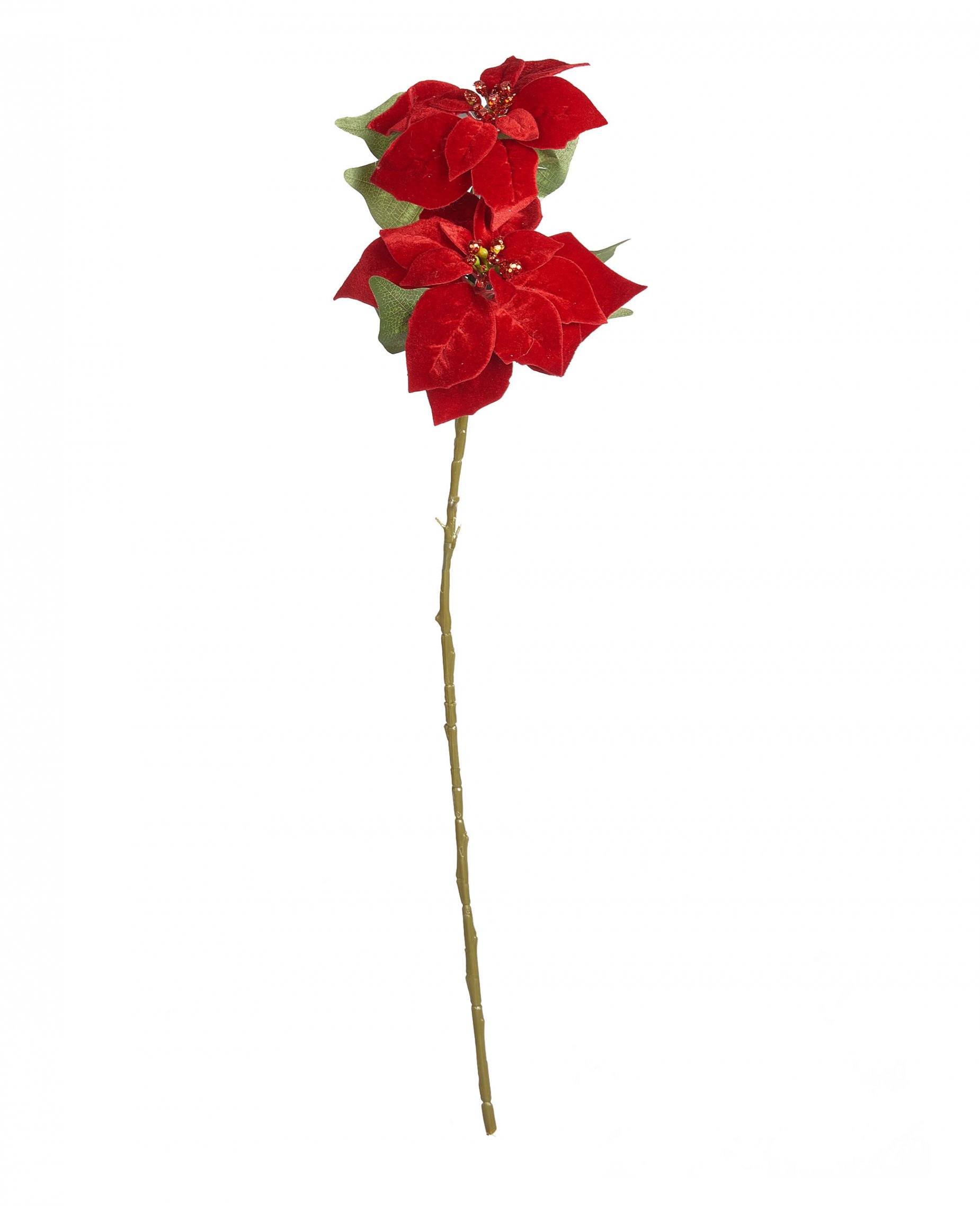 Weihnachtsstern Blumenzweig Weihnachts-Deko rot-grün 75 cm von JJA