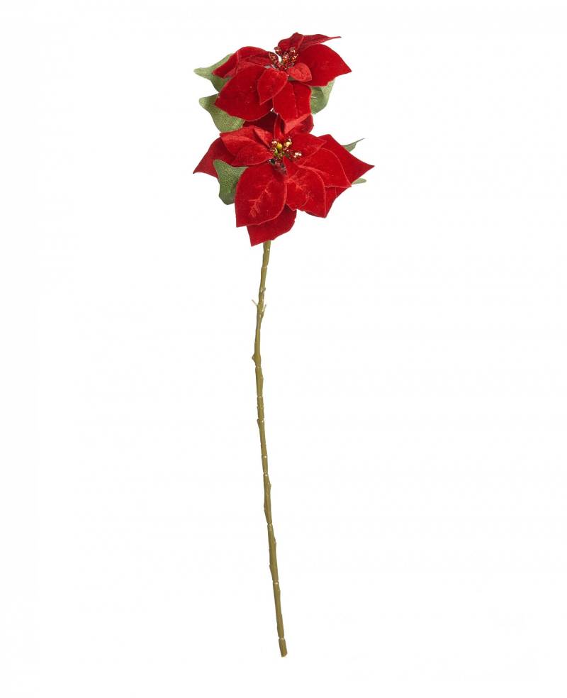 Weihnachtsstern Blumenzweig Weihnachts-Deko rot-grün 75 cm von JJA