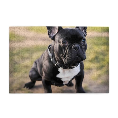 Jigsaw Puzzles1000 Teile Jkiegoq Französische Bulldogge Hund Gedruckt Pädagogische Intellektuelle Holzpuzzles Lustige Puzzles Stressabbau-Spiel Jigsaw Puzzles1000 Teile Jkiegoq Französische Bulldogge Hund Gedruckt Pädagogische Intellektuelle Holzpuzzles Lustige Puzzles Stressabbau-Spiel von JKIEGOQ