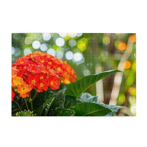 Jigsaw Puzzles1000 Teile Jkiegoq Gartenblumen Gedruckt Pädagogische Intellektuelle Holzpuzzles Lustige Puzzles Stressabbau-Spiel Jigsaw Puzzles1000 Teile Jkiegoq Gartenblumen Gedruckt Pädagogische Intellektuelle Holzpuzzles Lustige Puzzles Stressabbau-Spiel von JKIEGOQ