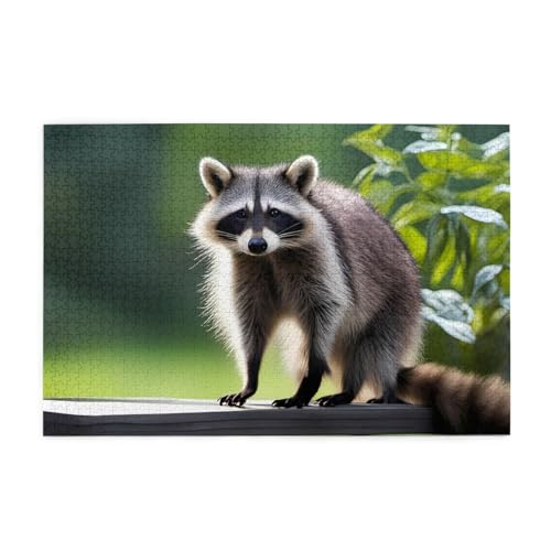 Jigsaw Puzzles1000 Teile Jkiegoq Niedlicher Waschbär Gedruckt Pädagogische Intellektuelle Holzpuzzles Lustige Puzzles Stressabbau-Spiel Jigsaw Puzzles1000 Teile Jkiegoq Niedlicher Waschbär Gedruckt Pädagogische Intellektuelle Holzpuzzles Lustige Puzzles Stressabbau-Spiel von JKIEGOQ