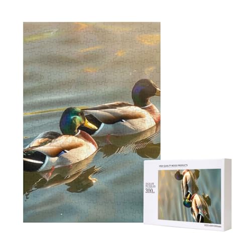 Intelligenz-Puzzle, Motiv: Ente schwimmen, 28 x 40 cm, 300 Teile (in Box), Lernspiel für Erwachsene, Heimdekoration, Puzzle von JKSEEPYN