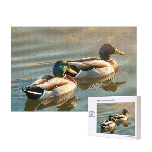 Intelligenz-Puzzle, Motiv: Ente schwimmend, 40 x 28 cm, 300 Teile (in Box), Lernspiel für Erwachsene, Heimdekoration, Puzzle von JKSEEPYN