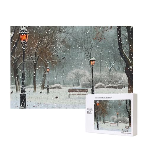 Intelligenz-Puzzle aus Holz, bedruckt, Motiv: Schnee im Park, 40 x 28 cm, 300 Teile (verpackt), Lernspiel für Erwachsene, Heimdekoration, Puzzle von JKSEEPYN