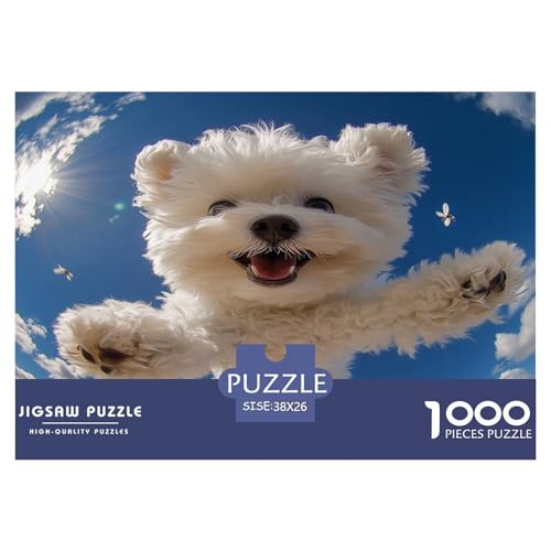 Bichon Frise Puzzle 1000-teilige Schwer Puzzle Spielzeug Lernspiel Impossible Herausforderung Spielzeug Für Erwachsene Kinder 38x26cm/1000pcs Bichon Frise Puzzle 1000-teilige Schwer Puzzle Spielzeug Lernspiel Impossible Herausforderung Spielzeug Für Erwachsene Kinder 38x26cm/1000pcs von JLZBXCUER