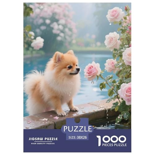 Pommern Puzzle 1000-teilige Schwer Puzzle Spielzeug Lernspiel Impossible Herausforderungsspielzeug Für Erwachsene Und Kinder Ab 14 Jahren 38x26cm/1000pcs Pommern Puzzle 1000-teilige Schwer Puzzle Spielzeug Lernspiel Impossible Herausforderungsspielzeug Für Erwachsene Und Kinder Ab 14 Jahren 38x26cm/1000pcs von JLZBXCUER