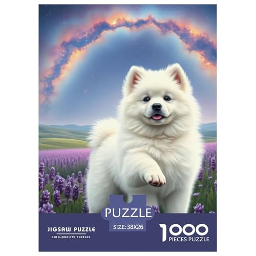 Samojed Puzzle 1000-teilige Schwer Puzzle Spielzeug Lernspiel Impossible Hund Herausforderung Spielzeug Für Erwachsene Kinder 38x26cm/1000pcs Samojed Puzzle 1000-teilige Schwer Puzzle Spielzeug Lernspiel Impossible Hund Herausforderung Spielzeug Für Erwachsene Kinder 38x26cm/1000pcs von JLZBXCUER