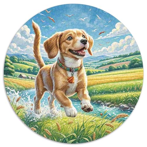 BAdler 1000 Pieces Jigsaw Puzzles for Adults EduKatzeional Games Stress Relieving Entertainment Exercise The Memory of The Brain for Adults Gifts 1000pcs (67.5x67.5cm) von JOFHYYSIE
