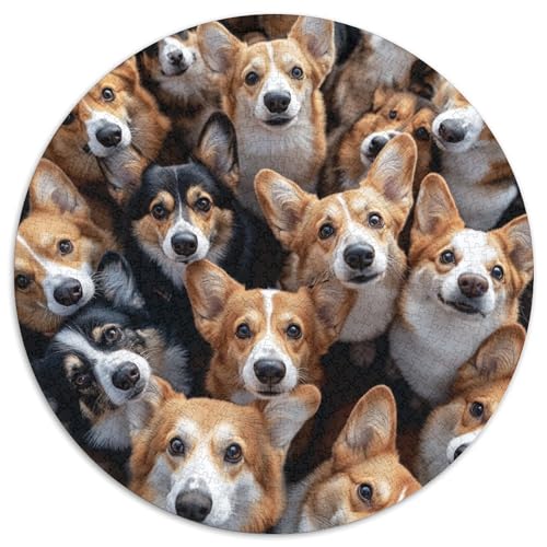 BAdler Hunds 1000 Piece Jigsaw Puzzle for Adults Challenging Game Stress Relief Puzzle Exercise The Memory of The Brain for Adults and Kids, Age 12 Years Up 1000pcs (67.5x67.5cm) von JOFHYYSIE