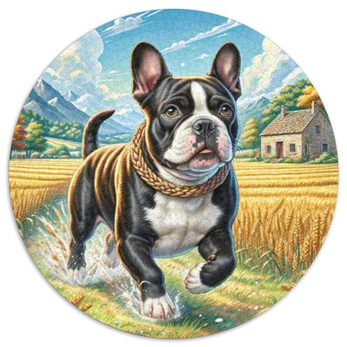 BULLHund Terrier 1000 Teile Puzzle Für Erwachsene Herausforderung Stressabbau-Puzzle Gedächtnis Trainieren Für Die Ganze Familie, Geschenke Für Frauen & Männer 1000pcs (67.5x67.5cm) von JOFHYYSIE