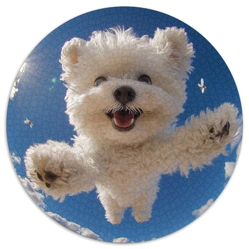 Bichon Frise 1000 Teile Puzzle Für Erwachsene Familien-Challenge Stresslindernde Unterhaltung Gedächtnis Trainieren Für Die Ganze Familie, Geschenke Für Frauen & Männer 1000pcs (67.5x67.5cm) von JOFHYYSIE