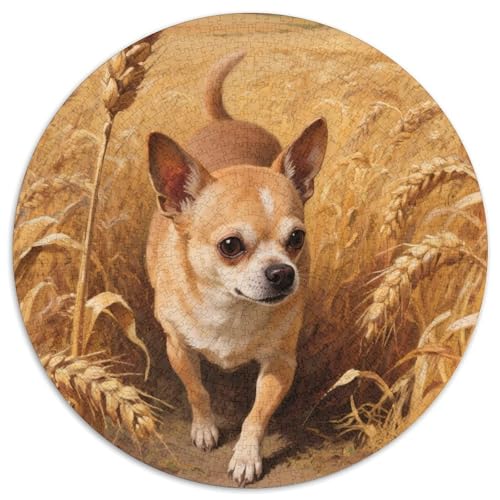 Chihuahua 1000 Piece Jigsaw Puzzle for Adults EduKatzeional Games Stress Relief Puzzle Cultivate The Spirit of Teamwork for Adults and Kids, Age 12 Years Up 1000pcs (67.5x67.5cm) von JOFHYYSIE