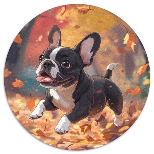 Französischer Bullhund 1000 Piece Jigsaw Puzzle for Adults Family Challenge Toys Stress Relief Puzzle Exercise The Memory of The Brain for Adults Gifts 1000pcs (67.5x67.5cm) von JOFHYYSIE