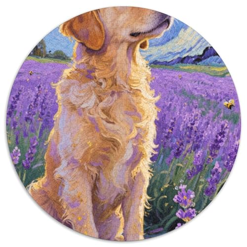 Goldener Retriever 1000 Teile Puzzle Für Erwachsene Bildungspiele Stresslindernde Unterhaltung Teamgeist Pflegen Für Die Ganze Familie, Geschenke Für Frauen & Männer 1000pcs (67.5x67.5cm) von JOFHYYSIE