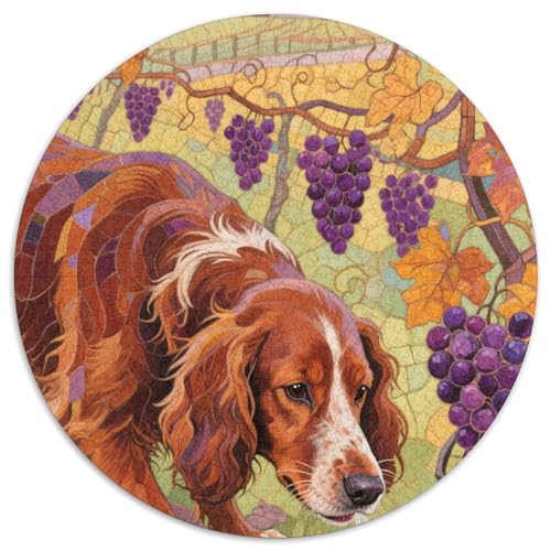 Irischer Setter 1000 Pieces Jigsaw Puzzles for Adults EduKatzeional Games Stress Relieving Entertainment Exercise The Memory of The Brain for Adults Gifts 1000pcs (67.5x67.5cm) von JOFHYYSIE