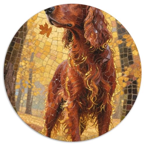 Irischer Setter 1000 Pieces Jigsaw Puzzles for Adults EduKatzeional Games Stress Relieving Entertainment Exercise The Memory of The Brain for Adults Gifts 1000pcs (67.5x67.5cm) von JOFHYYSIE