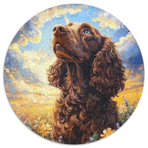 Irischer Setter 1000 Teile Puzzle Für Erwachsene Bildungspiele Stresslindernde Unterhaltung Gedächtnis Trainieren Für Die Ganze Familie, Geschenke Für Frauen & Männer 1000pcs (67.5x67.5cm) von JOFHYYSIE