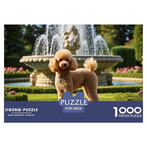Poodle 1000 Piece Jigsaw Puzzle for Adults EduKatzeional Games Stress Relief Puzzle Exercise The Memory of The Brain for Men, Women, Elders, Seniors 38x26cm/1000pcs Poodle 1000 Piece Jigsaw Puzzle for Adults EduKatzeional Games Stress Relief Puzzle Exercise The Memory of The Brain for Men, Women, Elders, Seniors 38x26cm/1000pcs von JOFHYYSIE