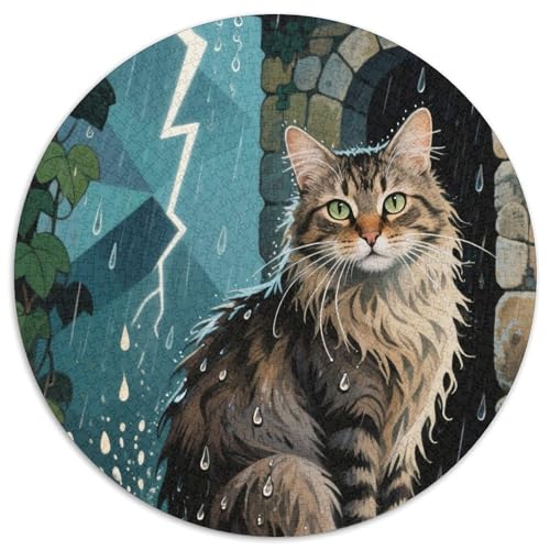 Ragamuffin 1000 Piece Jigsaw Puzzle for Adults EduKatzeional Games Stress Relief Puzzle Cultivate The Spirit of Teamwork for Adults Gifts 1000pcs (67.5x67.5cm) von JOFHYYSIE