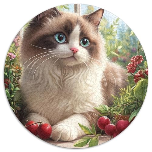 Ragdoll Katze 1000 Piece Jigsaw Puzzle for Adults Family Challenge Toys Stress Relief Puzzle Exercise The Memory of The Brain for Adults and Kids, Age 12 Years Up 1000pcs (67.5x67.5cm) von JOFHYYSIE