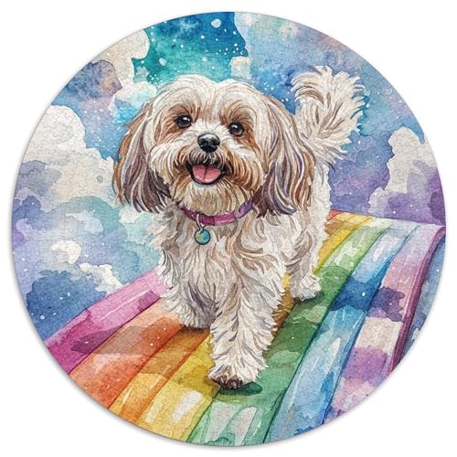 Shih Tzu 1000 Teile Puzzle Für Erwachsene Herausforderung Stressabbau-Puzzle Gedächtnis Trainieren Für Die Ganze Familie, Geschenke Für Frauen & Männer 1000pcs (67.5x67.5cm) von JOFHYYSIE