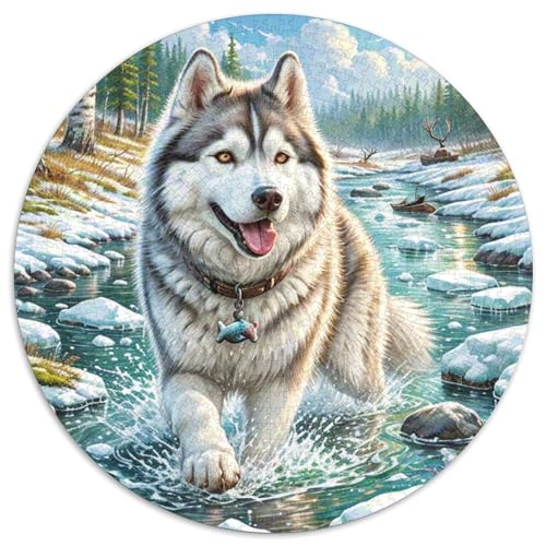 Sibirischer Husky 1000 Pieces Jigsaw Puzzles for Adults Family Challenge Toys Stress Relieving Entertainment Cultivate The Spirit of Teamwork for Adults Gifts 1000pcs (67.5x67.5cm) von JOFHYYSIE
