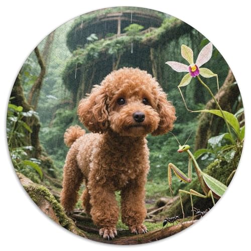 Teetasse Pudel 1000 Piece Jigsaw Puzzle for Adults Family Challenge Toys Stress Relief Puzzle Cultivate The Spirit of Teamwork for Family Decorations 1000pcs (67.5x67.5cm) von JOFHYYSIE