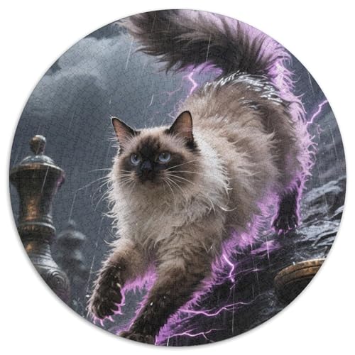 Türkische Angora 1000 Teile Puzzle Für Erwachsene Bildungspiele Stressabbau-Puzzle Teamgeist Pflegen Für Die Ganze Familie, Geschenke Für Frauen & Männer 1000pcs (67.5x67.5cm) von JOFHYYSIE