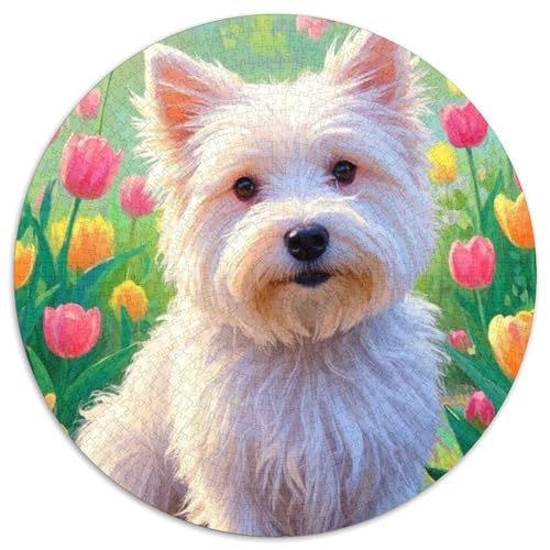 West Highland Weißer Terrier 1000 Piece Jigsaw Puzzle for Adults EduKatzeional Games Stress Relief Puzzle Exercise The Memory of The Brain for Family Decorations 1000pcs (67.5x67.5cm) von JOFHYYSIE
