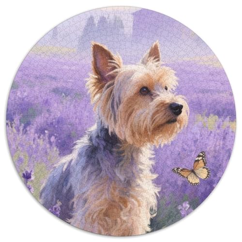 Yorkshire Terrier 1000 Teile Puzzle Für Erwachsene Familien-Challenge Stressabbau-Puzzle Teamgeist Pflegen Für Die Ganze Familie, Geschenke Für Frauen & Männer 1000pcs (67.5x67.5cm) von JOFHYYSIE