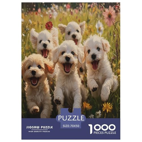 maltesisch Dog 1000 Teile Puzzle Für Erwachsene Herausforderndes Spiel Stresslindernde Unterhaltung Teamgeist Pflegen Für Die Ganze Familie, Geschenke Für Frauen, Geschenke Für Männer 70x50cm/10 maltesisch Dog 1000 Teile Puzzle Für Erwachsene Herausforderndes Spiel Stresslindernde Unterhaltung Teamgeist Pflegen Für Die Ganze Familie, Geschenke Für Frauen, Geschenke Für Männer 70x50cm/10 von JOFHYYSIE