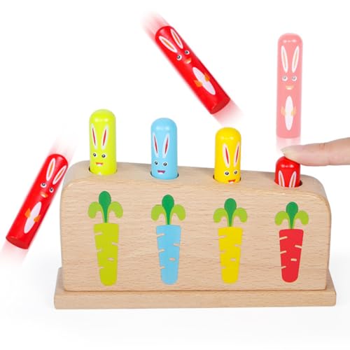 JOINPAYA Pädagogisches Holzspielzeug Für Kinder Holzstabspiel Hand-Auge-koordinationsspielzeug Farbbewusstsein Zufälliger Stil von JOINPAYA