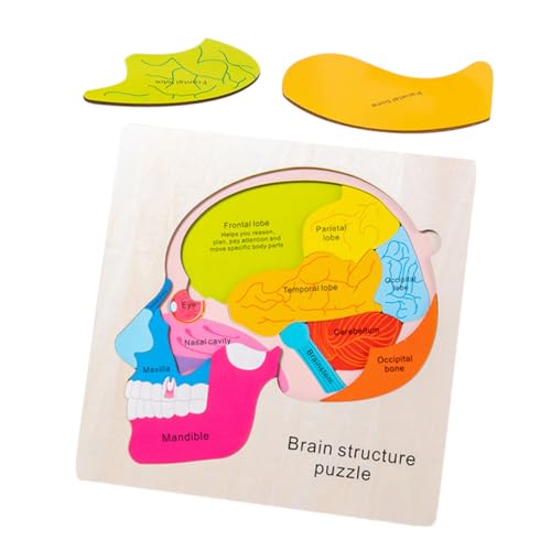JOINPAYA 1 Satz Gehirnstruktur-Puzzle holzpuzzle für die Gehirnstruktur von Kindern Erkenntnisrätsel zum Erkennen der Gehirnstruktur Holzpuzzles für JOINPAYA 1 Satz Gehirnstruktur-Puzzle holzpuzzle für die Gehirnstruktur von Kindern Erkenntnisrätsel zum Erkennen der Gehirnstruktur Holzpuzzles für von JOINPAYA