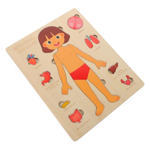 JOINPAYA 1 Satz Puzzle Zur Struktur des Menschlichen Körpers Puzzlematte Schaufensterpuppe Puzzlekleber Puzzle Sortierschalen Anatomiemodell Modell Der Anatomischen Organe Holz von JOINPAYA