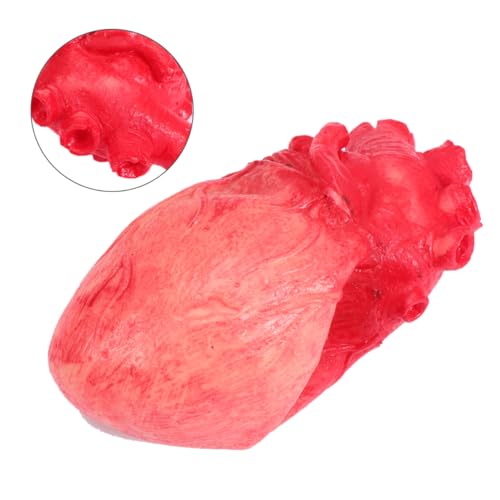 JOINPAYA 1 Satz Simulation des menschlichen Körpers Halloween Dekoration Halloween-Dekoration Halloween Performance Prop Halloween Heart Prop Halloween Patio Decor gruselig von JOINPAYA