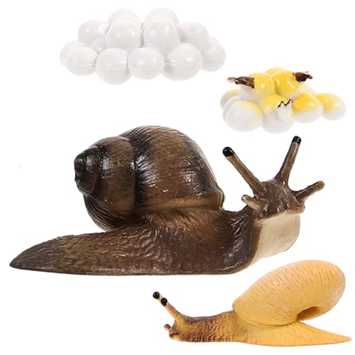 JOINPAYA Spielzeug Schnecke Spielzeug Schnecken Lebenszyklus Figuren Pädagogisches Spielzeug Tier Kognitive Modelle JOINPAYA Spielzeug Schnecke Spielzeug Schnecken Lebenszyklus Figuren Pädagogisches Spielzeug Tier Kognitive Modelle von JOINPAYA