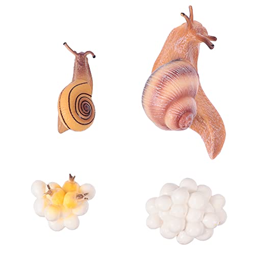 JOINPAYA 1 Satz Wachstumszyklus Hamsterkühlhaus Regenwurm Modell Statuenspielzeug Automatische Badewanne Figur Tiere Wurf Pastoralen Blumenkübel Krabbenspielzeug Plastik JOINPAYA 1 Satz Wachstumszyklus Hamsterkühlhaus Regenwurm Modell Statuenspielzeug Automatische Badewanne Figur Tiere Wurf Pastoralen Blumenkübel Krabbenspielzeug Plastik von JOINPAYA