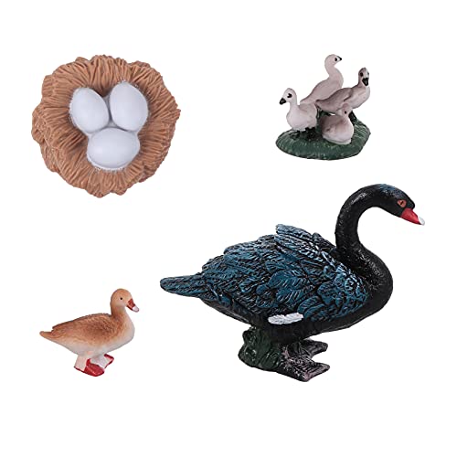 JOINPAYA 1 Satz Wachstumszyklus Plüschtiere Badespielzeug aus Schaumstoff passt zu Aquarium Figur wohnzimmerdeko Set Lernspielzeug Hofdekore Lehrmittel Plastik JOINPAYA 1 Satz Wachstumszyklus Plüschtiere Badespielzeug aus Schaumstoff passt zu Aquarium Figur wohnzimmerdeko Set Lernspielzeug Hofdekore Lehrmittel Plastik von JOINPAYA