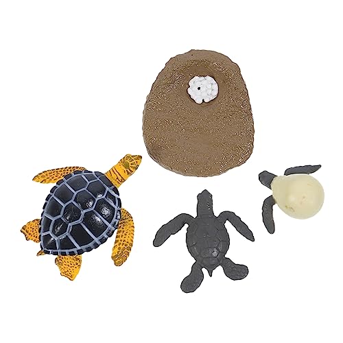 JOINPAYA Schildkröte Wachstum Zyklus Dekore Zyklus Modell Simulation Zyklus Figuren Pädagogisches Spielzeug Kit JOINPAYA Schildkröte Wachstum Zyklus Dekore Zyklus Modell Simulation Zyklus Figuren Pädagogisches Spielzeug Kit von JOINPAYA