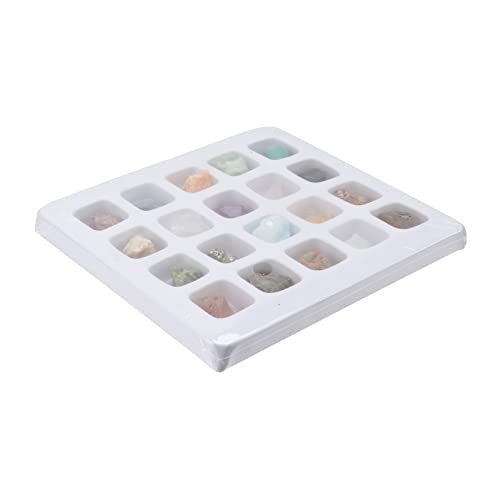 JOINPAYA Pädagogisches Wissenschaftsspielzeug 20 Arten Von Mineralproben Geologie Wissenschaft Lernmaterial Für Kinder JOINPAYA Pädagogisches Wissenschaftsspielzeug 20 Arten Von Mineralproben Geologie Wissenschaft Lernmaterial Für Kinder von JOINPAYA