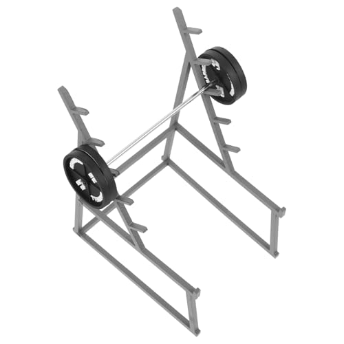 JOINPAYA 1 Set Fitness Ornamente Puppenhaus Puppenhaus Kreaturenspielzeug Puppenwagen Babypuppe Mini Bausätze Puppenhaus Zubehör Kleines Langhantelspielzeug Winzige JOINPAYA 1 Set Fitness Ornamente Puppenhaus Puppenhaus Kreaturenspielzeug Puppenwagen Babypuppe Mini Bausätze Puppenhaus Zubehör Kleines Langhantelspielzeug Winzige von JOINPAYA
