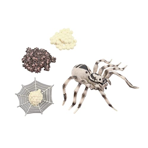 JOINPAYA Realistische Spinne Tierfiguren Lebenszyklus Figuren Für Kinder Vorschulische Lernspielzeug Modell-Sets JOINPAYA Realistische Spinne Tierfiguren Lebenszyklus Figuren Für Kinder Vorschulische Lernspielzeug Modell-Sets von JOINPAYA