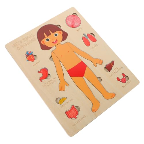 JOINPAYA 1 Set Puzzle Zur Struktur des Menschlichen Körpers Kinderspielzeug Puzzles Kinderwerkzeuge Körperorgane Lehrmittel Puzzle Zum Menschlichen Körper Kognitives Für von JOINPAYA