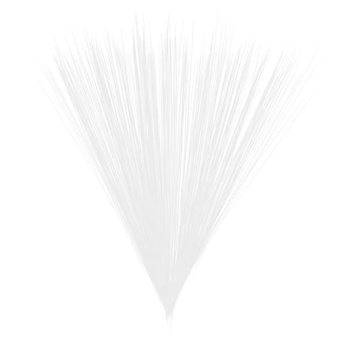JOINPAYA 1 Simulierte Katzenschnurrhaare Filzschnurrhaare Katze Schnurrhaare Simulierte Whiskers Sammlung Von Katzenschnurrhaaren Katzenschnurrhaare Für Das Gesicht Beige Plastik von JOINPAYA