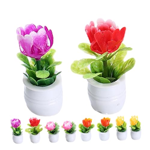 JOINPAYA 10stücke Miniatur Pflanzen Modell Teiliges Simulierte Bonsai Deko Für Puppenhaus Kleine Topfpflanzen Für Miniaturgärten Und Wohnräume Realistische Wohnaccessoires JOINPAYA 10stücke Miniatur Pflanzen Modell Teiliges Simulierte Bonsai Deko Für Puppenhaus Kleine Topfpflanzen Für Miniaturgärten Und Wohnräume Realistische Wohnaccessoires von JOINPAYA