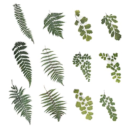 JOINPAYA 12 Blatt Aufkleber Scrapbook scheckheft aufklebebuchstaben dekoring ziernieten scrapbbok Stickers stickbilder geschke eincremehilfe notizhefte Tagebuch Etiketten das Haustier Green von JOINPAYA