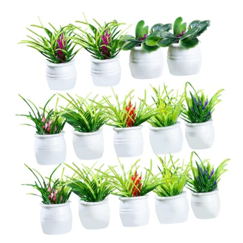 JOINPAYA 14 Stück Zimmerpflanze im Topf kleine Sukkulenten künstlich kleine Kunstpflanze mit Topf zimmerpflanzen kunstplflanze deko Desktop-Ornamente für zu Hause Miniaturpflanzen JOINPAYA 14 Stück Zimmerpflanze im Topf kleine Sukkulenten künstlich kleine Kunstpflanze mit Topf zimmerpflanzen kunstplflanze deko Desktop-Ornamente für zu Hause Miniaturpflanzen von JOINPAYA